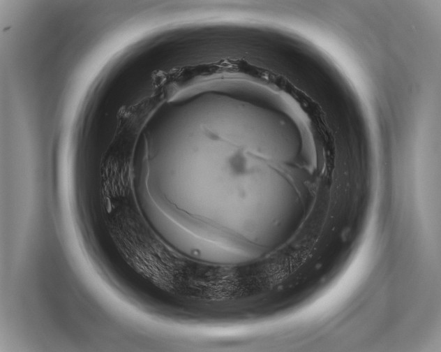 X0000113340143200909221131