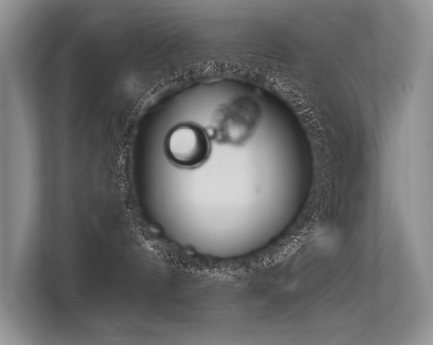 X0000113340144200909221131