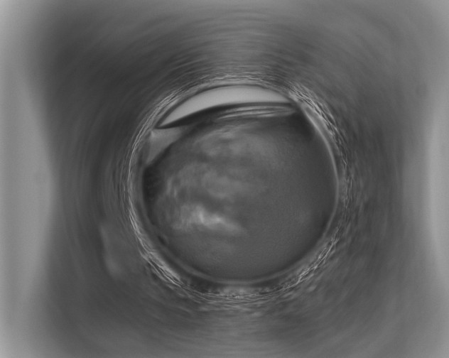 X0000113340145200909221130