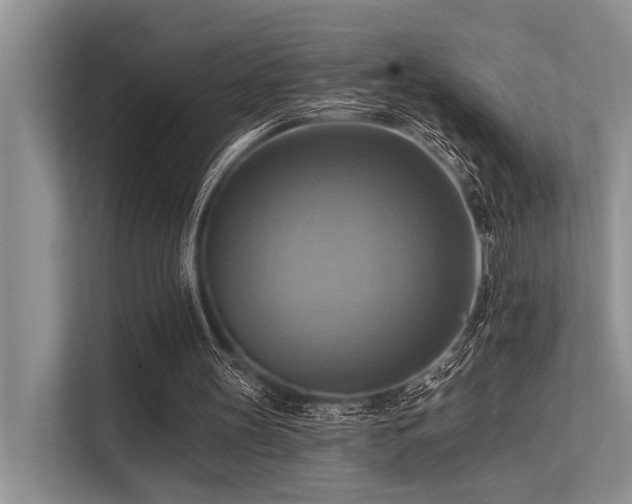 X0000113340147200909221130