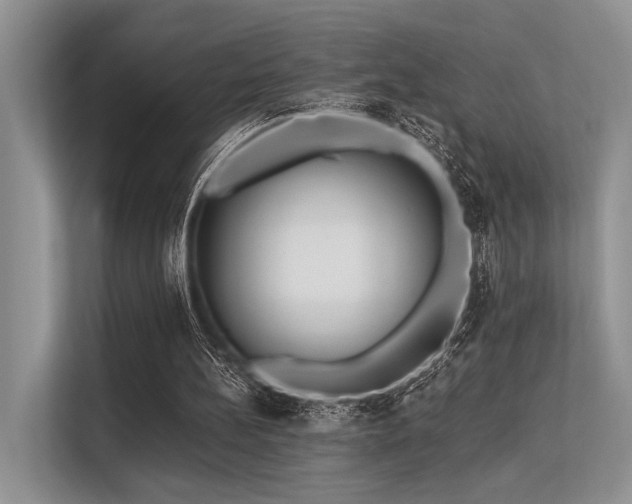 X0000113340148200909221130