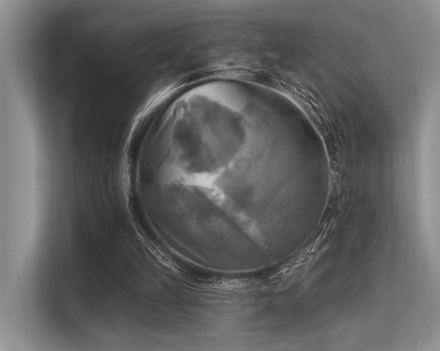 X0000113340149200909221130