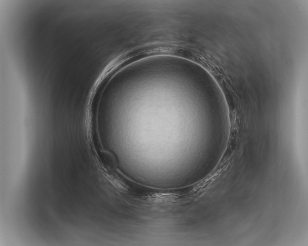 X0000113340150200909221130