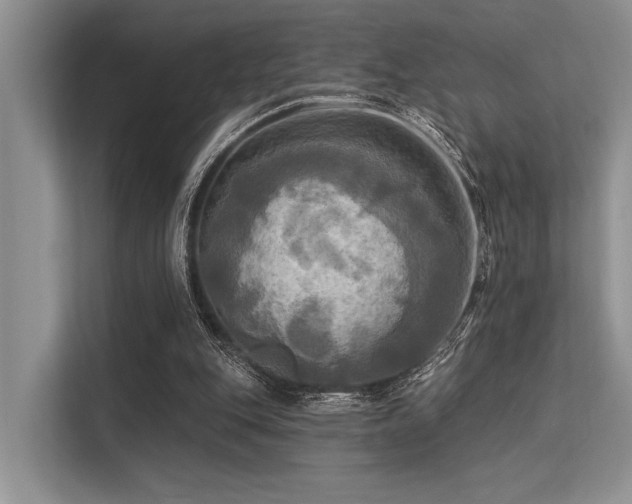 X0000113340151200909221130