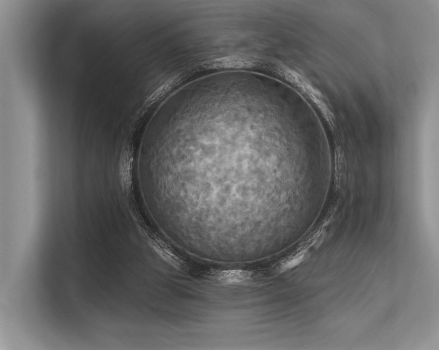 X0000113340153200909221130