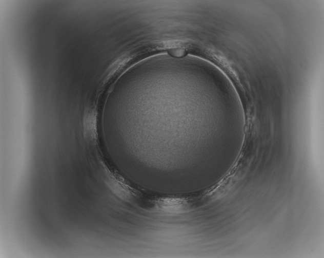 X0000113340154200909221130