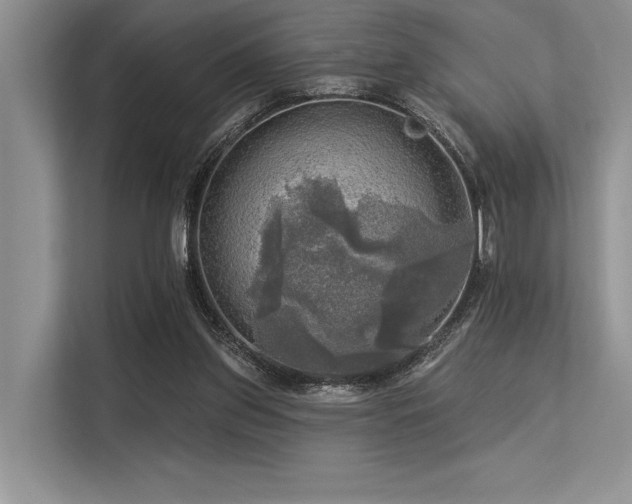 X0000113340157200909221131