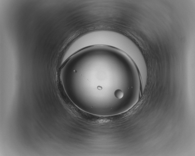 X0000113340158200909221131