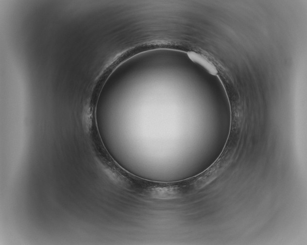 X0000113340160200909221131