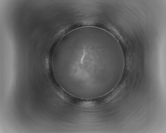 X0000113340161200909221131