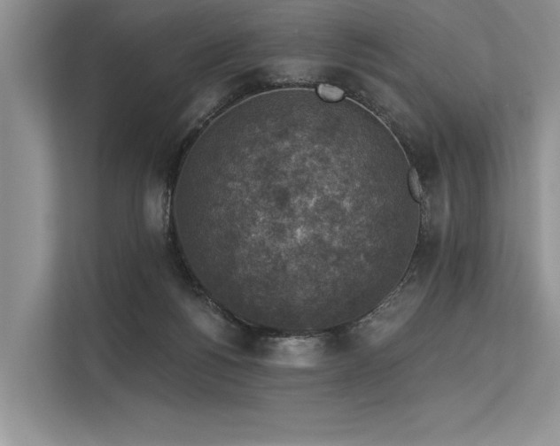 X0000113340168200909221131