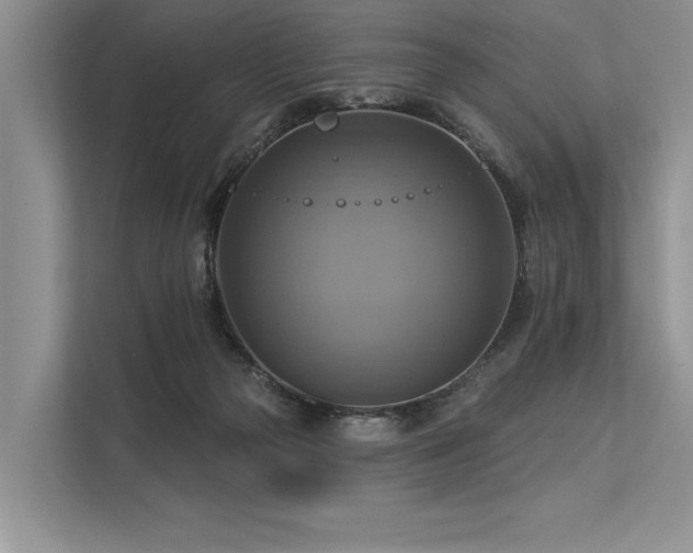 X0000113340169200909221131