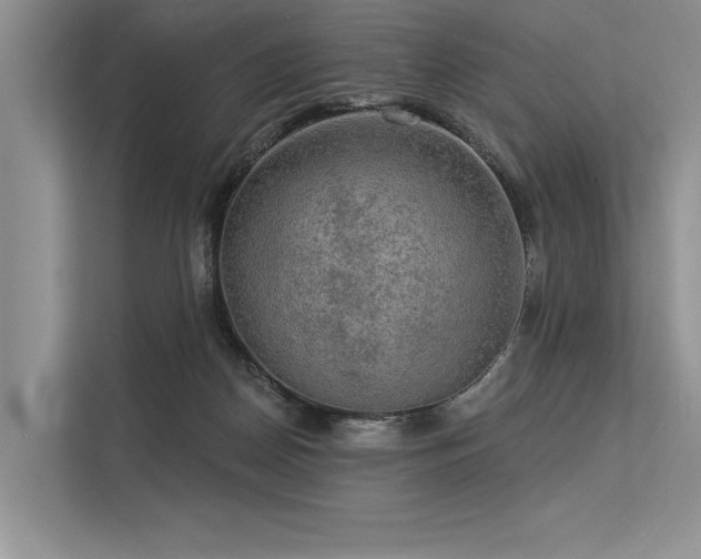 X0000113340170200909221131