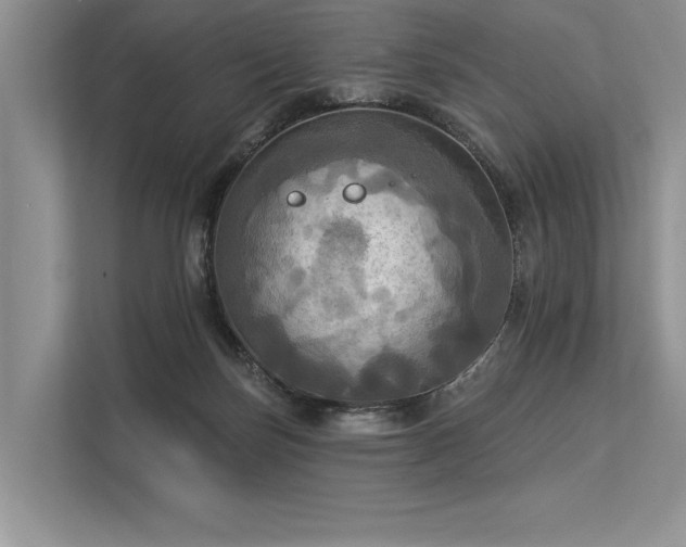 X0000113340171200909221131