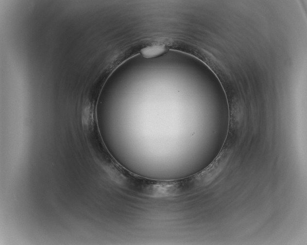 X0000113340172200909221131