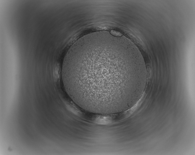 X0000113340174200909221131