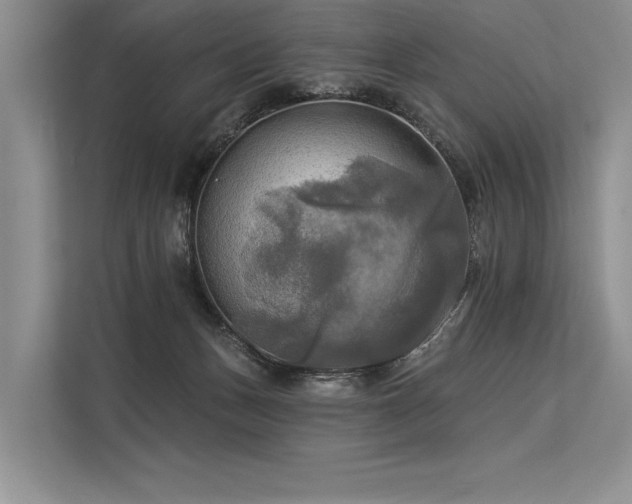 X0000113340175200909221131