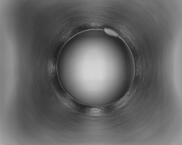 X0000113340176200909221131