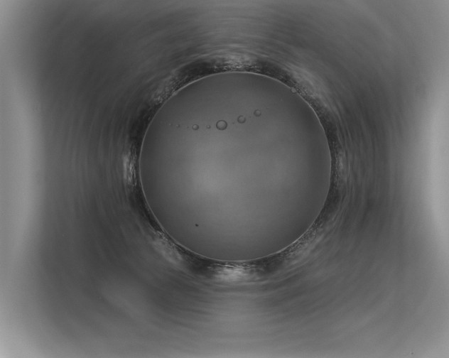 X0000113340177200909221131