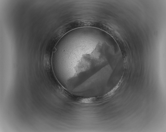 X0000113340178200909221131