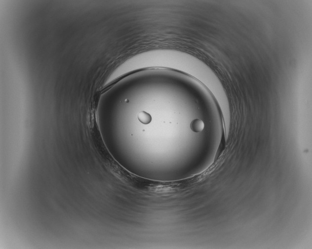 X0000113340180200909221131