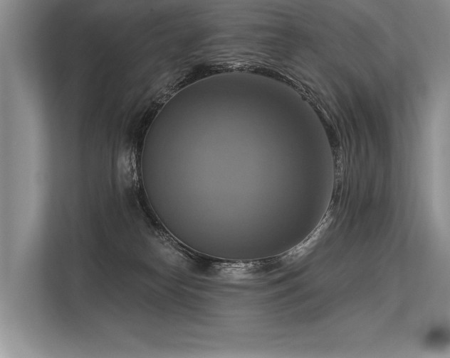 X0000113340182200909221131