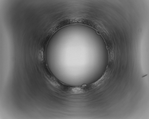 X0000113340183200909221131