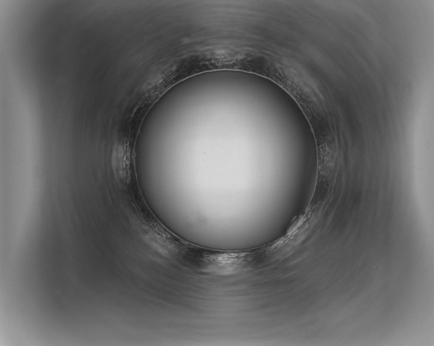 X0000113340184200909221131