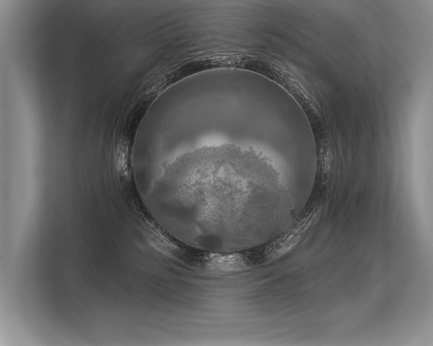 X0000113340185200909221131