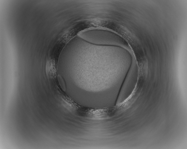 X0000113340186200909221131