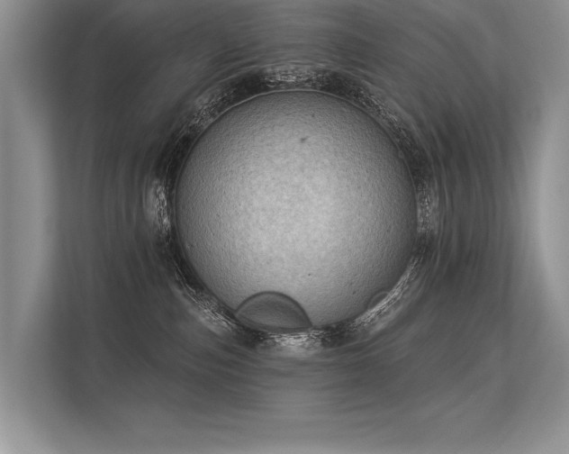 X0000113340187200909221131