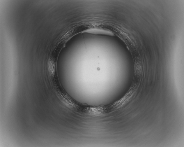 X0000113340188200909221131