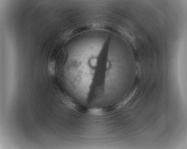 X0000113340189200909221131