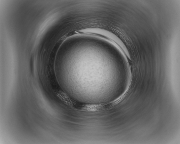 X0000113340190200909221131