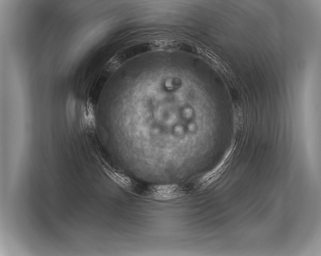 X0000113340191200909221131