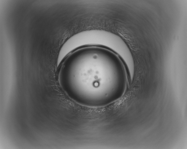 X0000113340192200909221131