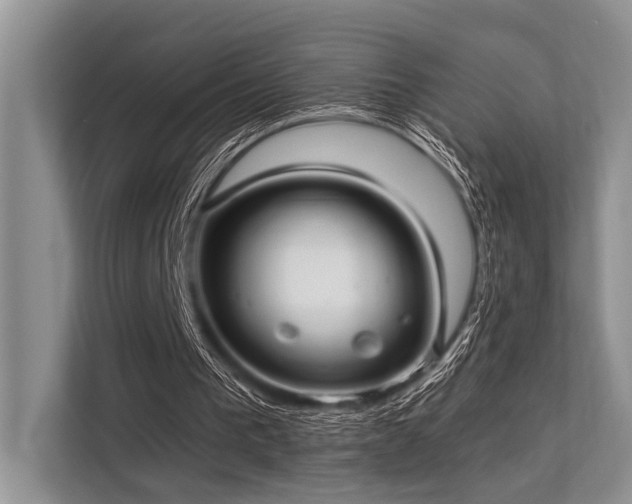 X0000113340193200909221130