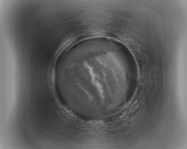 X0000113340194200909221130