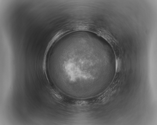 X0000113340195200909221130