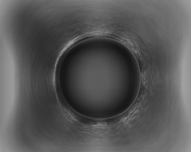 X0000113340196200909221130