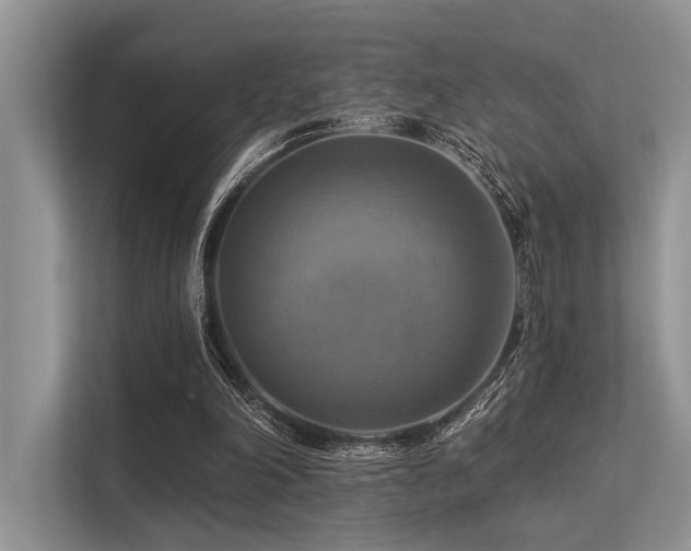 X0000113340198200909221130