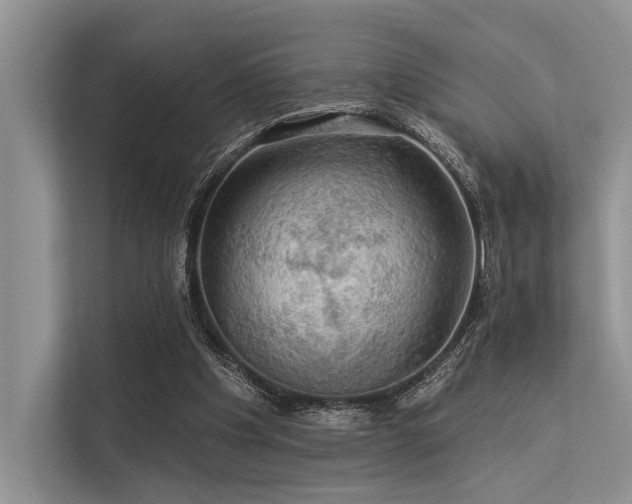 X0000113340201200909221130