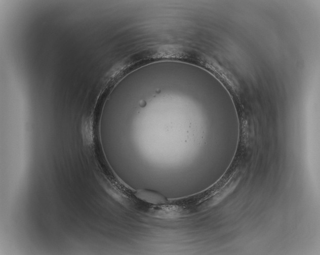 X0000113340203200909221130