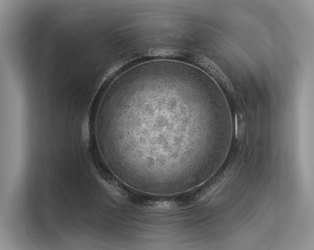 X0000113340204200909221130