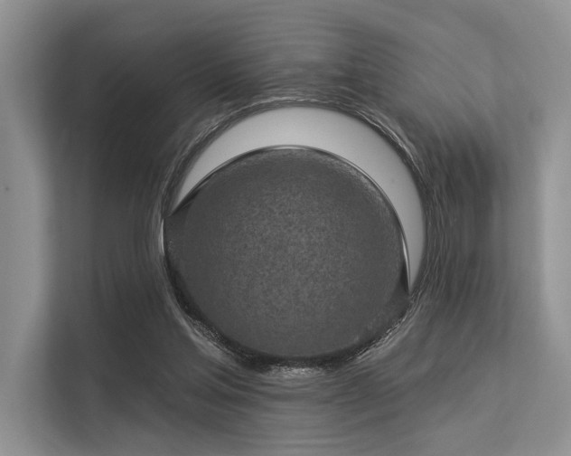 X0000113340205200909221130