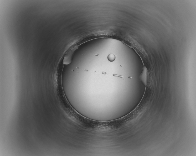 X0000113340207200909221130