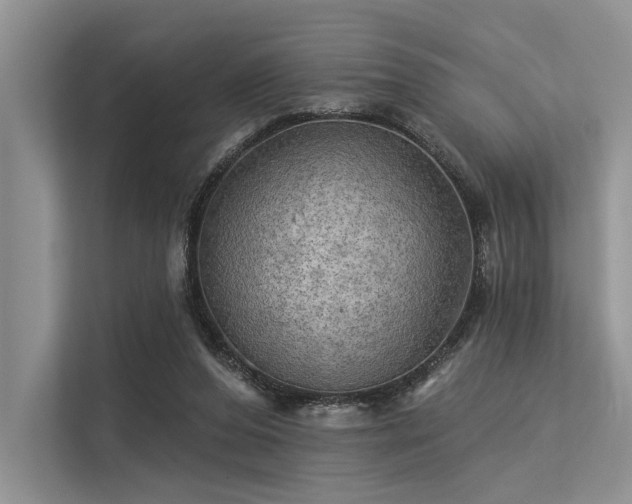 X0000113340208200909221130