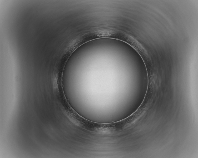 X0000113340209200909221130