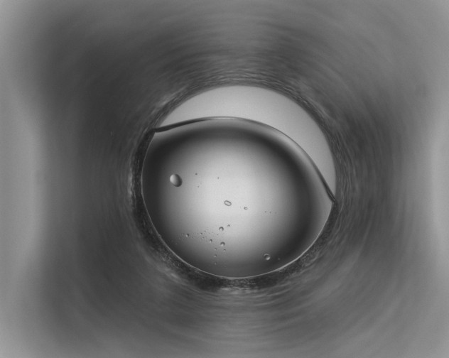 X0000113340211200909221130