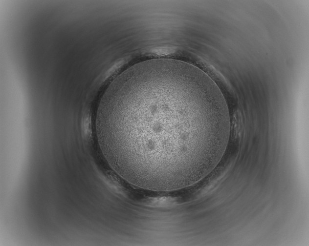 X0000113340212200909221130